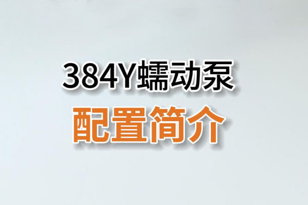 384Y蠕動(dòng)泵產(chǎn)品配置簡(jiǎn)介